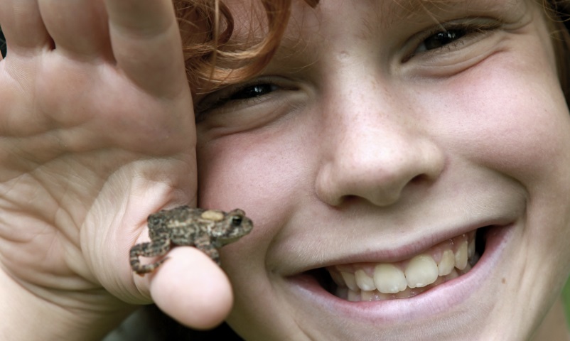 A close up portrait of a boy with curly red hair smiling at the camera as he holds a small toad.